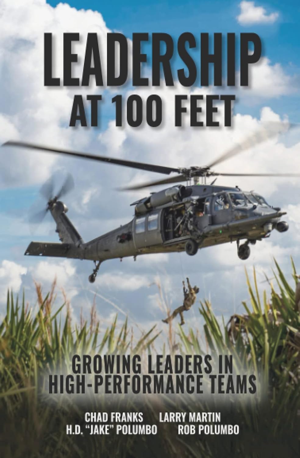 Leadership at 100 Feet: Growing Leaders in High-Performance Teams